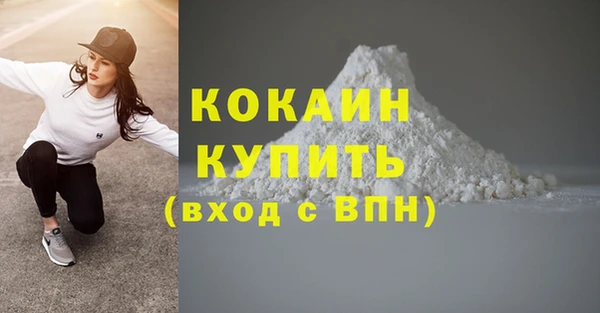 гашик Михайловск
