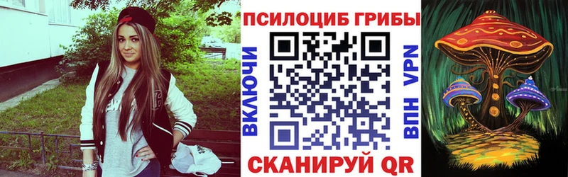 дарнет шоп  Орлов  Галлюциногенные грибы Magic Shrooms 